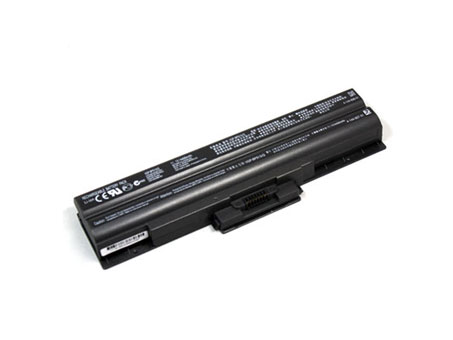 6 Cell Black Sony VGP-BPS13 VGP-BPS13A VGP-BPS13AS Battery - Click Image to Close